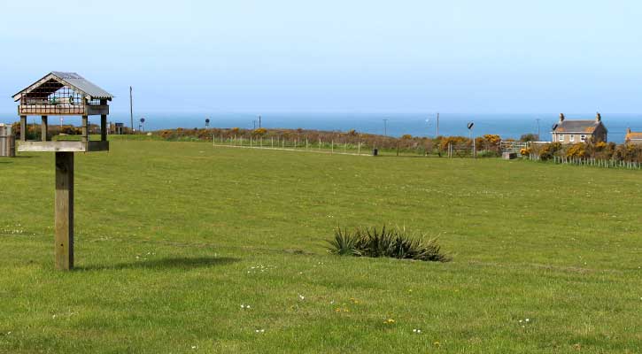 Lands End Camping and Glamping - camping